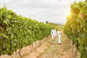 Your Guide To Southern California Vacation Spots