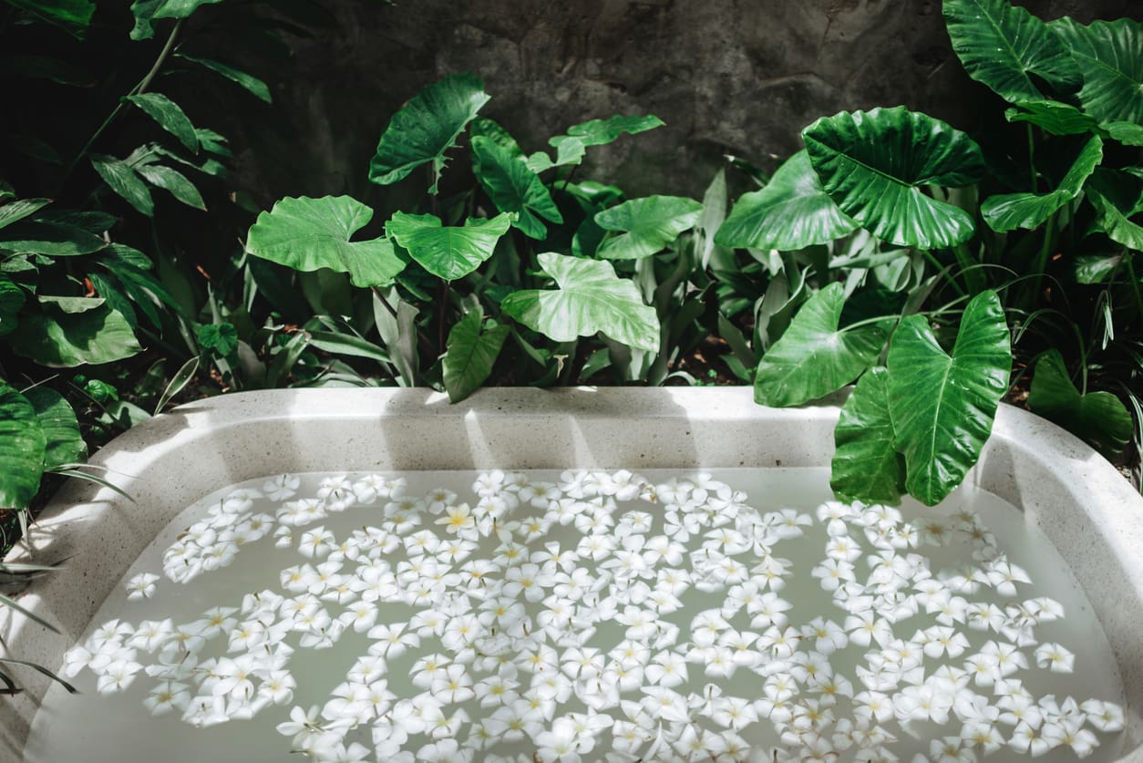 what are the benefits of cold plunging